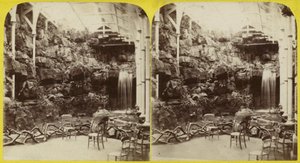 Fernery i wodospad w Brighton Aquarium autorstwa English Photographer