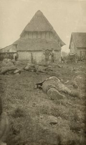 Z albumu 134 fotografii związanych z I wojną światową, front zachodni, 1914-18 autorstwa English Photographer