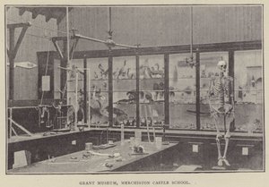 Grant Museum, Merchiston Castle School (grawerunek) autorstwa English Photographer