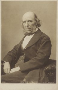 Herbert Spencer (1820-1903), angielski filozof, teoretyk polityki, biolog i socjolog. autorstwa English Photographer