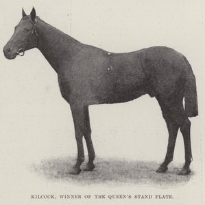 Kilcock, zwycięzca Queens Stand Plate autorstwa English Photographer