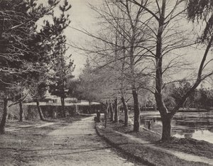 Jezioro Wendouree zimą autorstwa English Photographer
