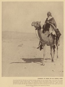 Lawrence z Arabii na słynnym wielbłądzie (zdjęcie czarno-białe) autorstwa English Photographer