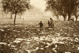Trawa usiana śmieciami na wrzosowisku Hampstead dzień po Bank Holiday, z Wonderful London, wyd. 1926-27 (fotograwiura) autorstwa English Photographer
