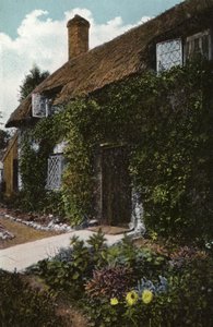 Domek Little Janes, Brading autorstwa English Photographer