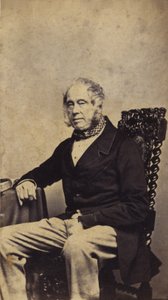 Lord Palmerston autorstwa English Photographer