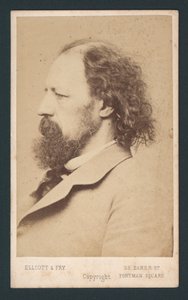 Lord Tennyson, wizytówka autorstwa English Photographer