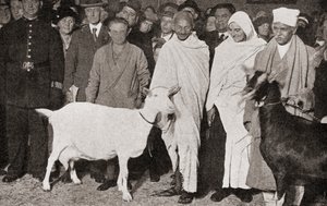 Mahatma Gandhi przybywa do Londynu w Anglii w 1931 ze swoją uczennicą Madeleine Slade i dwoma kozami, z The Story of Twenty Five Years, opublikowanej w 1935 autorstwa English Photographer