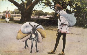 Człowiek i jego osioł (kolorowe zdjęcie) autorstwa English Photographer