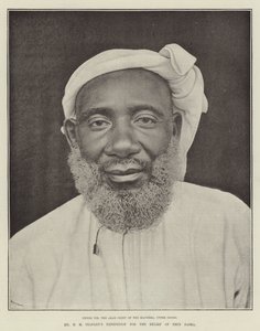 Pan H M Stanleys Expedition for the Relief of Emin Pasha