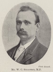 Pan WC Steadman, MP autorstwa English Photographer