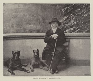 Książę Bismarck w Friedrichsruh autorstwa English Photographer