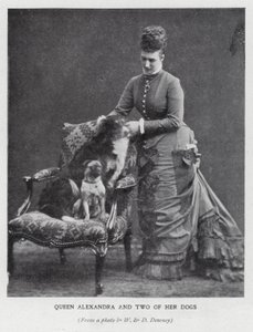Queen Alexandra i dwa jej psy (b/w zdjęcie) autorstwa English Photographer