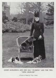 Królowa Aleksandra z psem Plumpie i jej dwoma spanielami King Charles (zdjęcie czarno-białe) autorstwa English Photographer