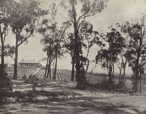Scena na Gembrook Road, Victoria autorstwa English Photographer