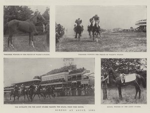 Sceny w Ascot, 1901 autorstwa English Photographer