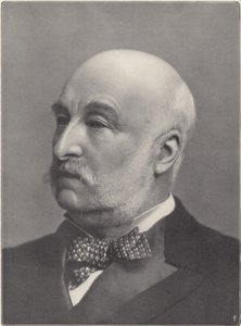 Sir Charles Mark Palmer autorstwa English Photographer