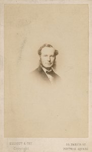 Sir John Tenniel, artysta