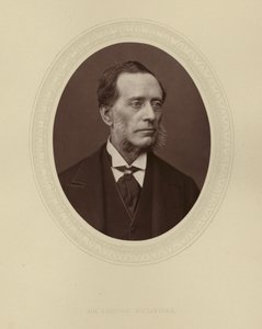 Sir Leopold McClintock autorstwa English Photographer