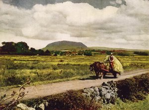Slemish, hrabstwo Antrim (zdjęcie kolorowe) autorstwa English Photographer