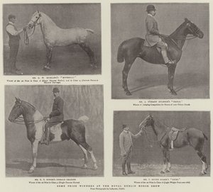 Niektórzy zdobywcy nagród na Royal Dublin Horse Show autorstwa English Photographer