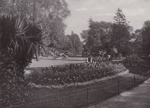 Ogrody subtropikalne, Park Battersea autorstwa English Photographer