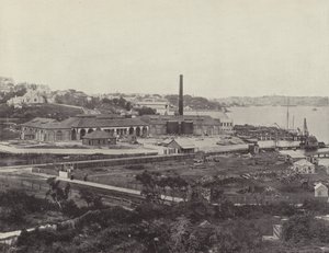 Sunlight Soap Companys Works, niedaleko Sydney autorstwa English Photographer