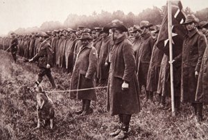 Recenzja Anzac na Salisbury Plain: australijska maskotka, ilustracja z The Illustrated War News, 27 września 1916 (zdjęcie w sepii) autorstwa English Photographer