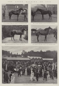 Spotkanie Ascot w 1901 r.