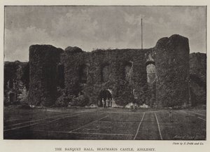 Sala Bankietowa, Zamek Beaumaris, Anglesey autorstwa English Photographer