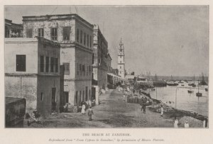 Plaża na Zanzibarze autorstwa English Photographer