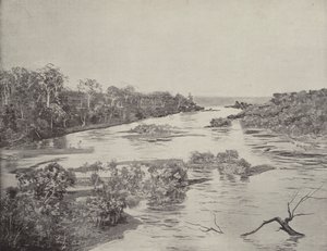 Rzeka Boyne, Queensland autorstwa English Photographer