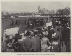 The Dublin Cattle Show, parada zdobywców nagród przed księciem Yorku