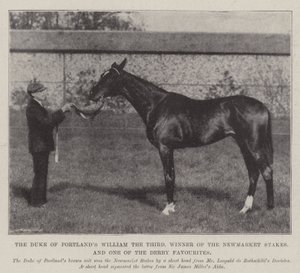 Książę Portlands Wilhelm III, zdobywca nagród Newmarket i jeden z faworytów Derby autorstwa English Photographer