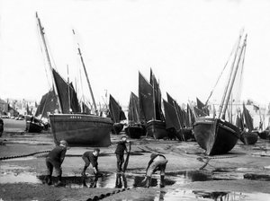 Flota rybacka w porcie St Ives, ok. 1880-99 autorstwa English Photographer