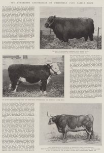 Setna rocznica Smithfield Club Cattle Show