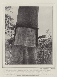 Wystawa Livingstone