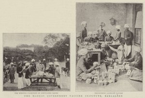 Rządowy Instytut Szczepień w Madrasie, Bangalore autorstwa English Photographer