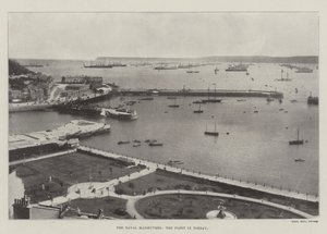 Manewry Morskie, Flota w Torbay autorstwa English Photographer