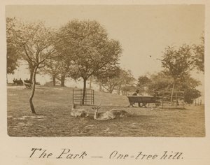 Park - One Tree Hill, Greenwich autorstwa English Photographer