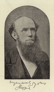 Wielebny J Clifford, DD autorstwa English Photographer