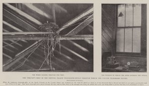 Gniazdo drozda w biurze telegraficznym Crystal Palace, przez które przechodziły telegramy z kubkiem autorstwa English Photographer