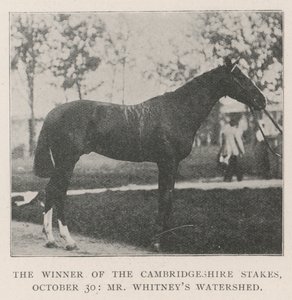 Zwycięzca Cambridgeshire Stakes, 30 października, pan Whitneys Watershed autorstwa English Photographer