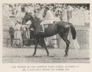Zwycięzca Kempton Park Stakes, 11 października, pan T Kincaids Epsom Lad (Gomez w górę) autorstwa English Photographer