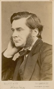 Thomas Henry Huxley autorstwa English Photographer