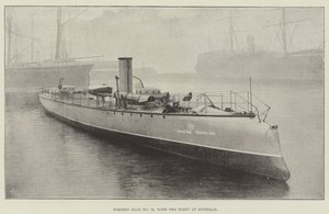 Łódź torpedowa nr 79 z flotą w Spithead autorstwa English Photographer