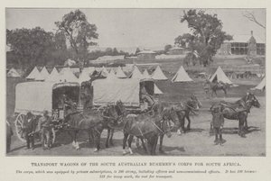 Wagony transportowe Korpusu Buszmenów Australii Południowej dla Republiki Południowej Afryki autorstwa English Photographer