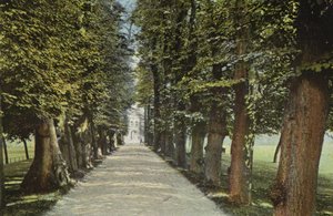 Trinity College, Aleja autorstwa English Photographer