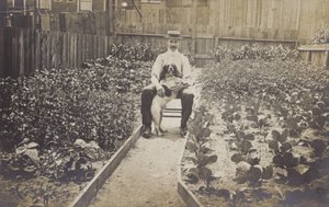 Ogród warzywny (zdjęcie czarno-białe) autorstwa English Photographer