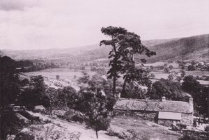 Widok ze ścieżki do jeziora Elsie (zdjęcie czarno-białe) autorstwa English Photographer